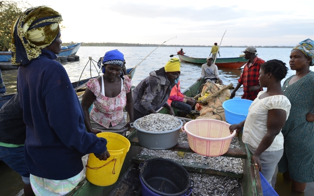 Community Empowerment & Sustainable Livelihood project image