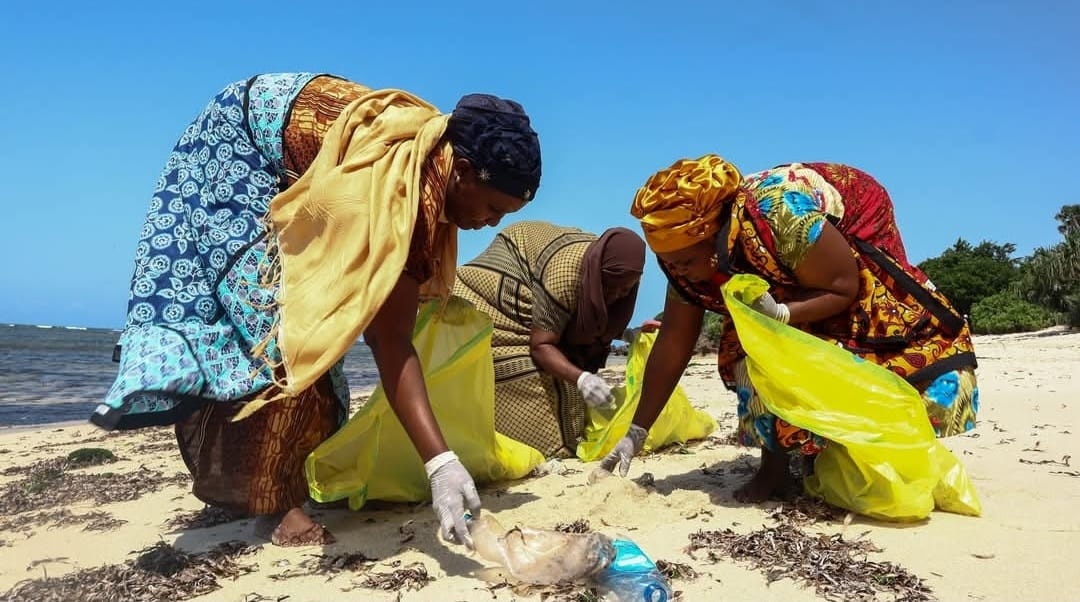 Mangrove restoration and coral reef protection