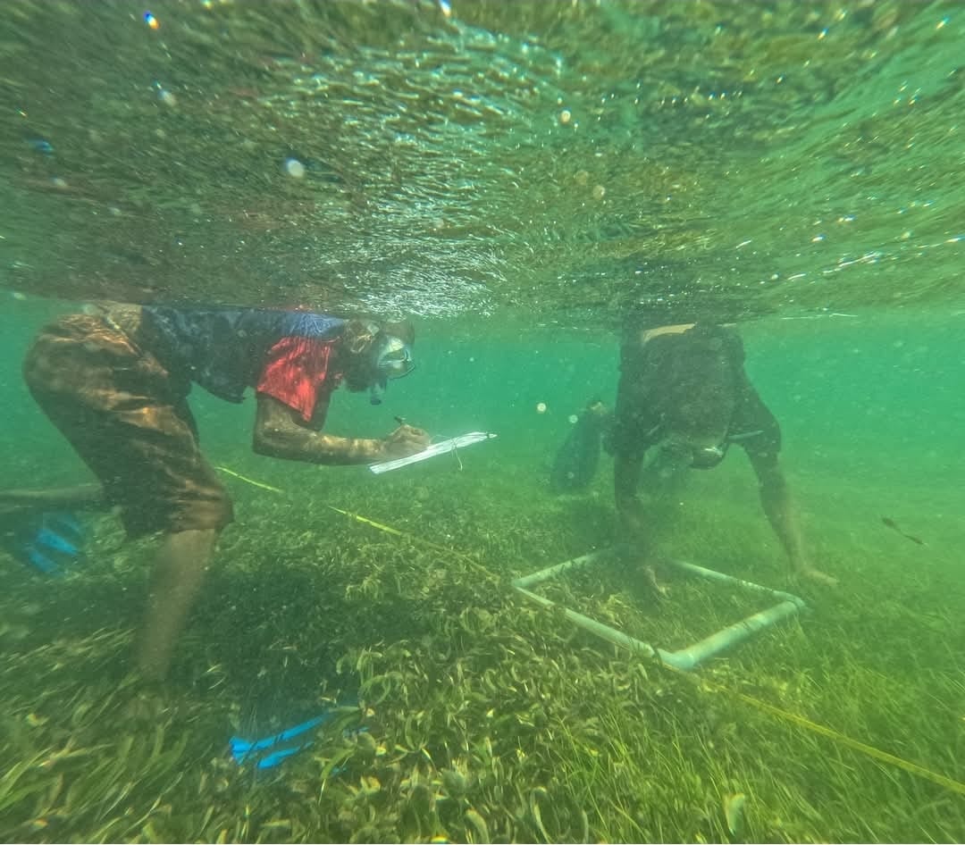 Technology and data-driven monitoring systems