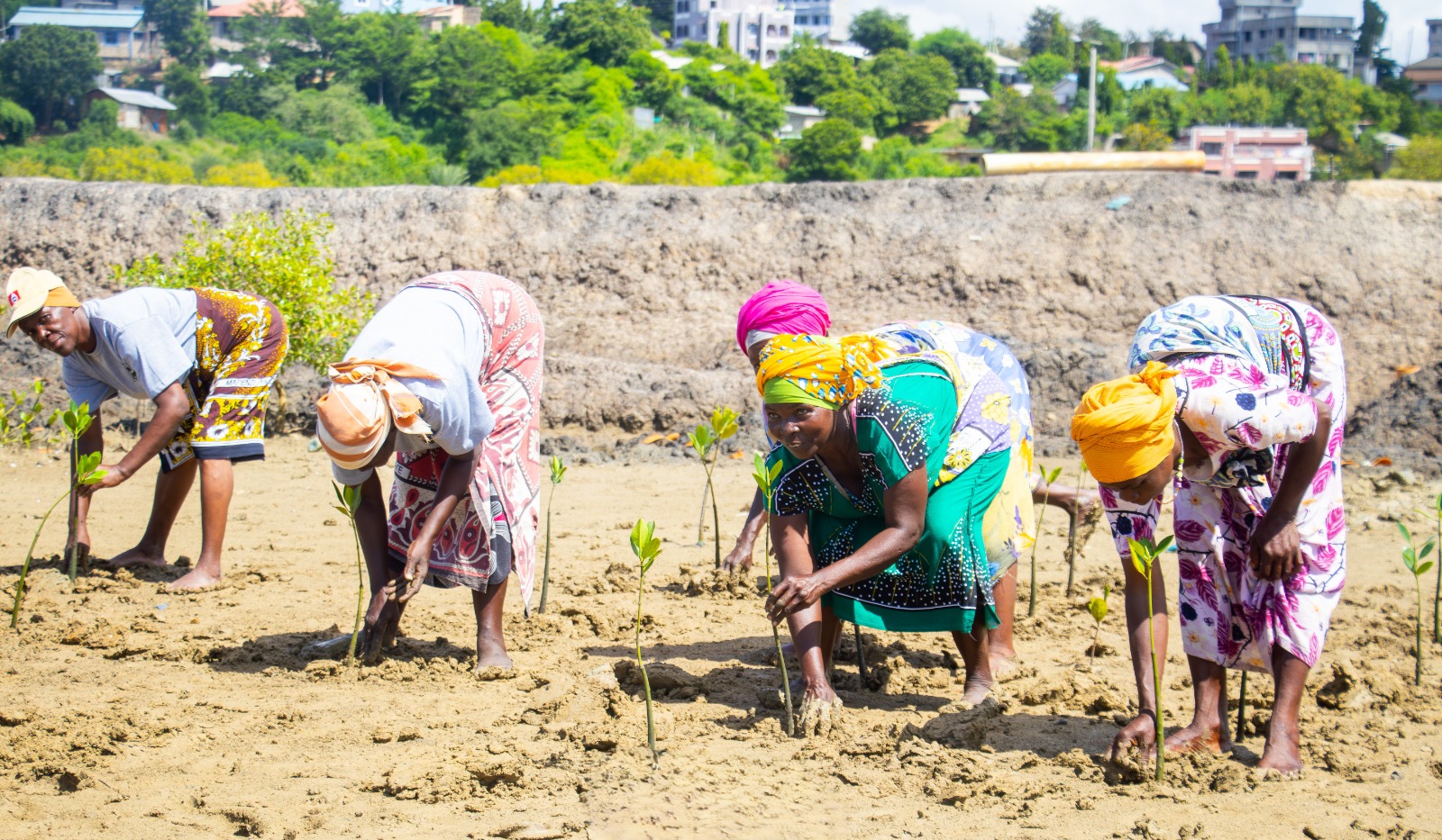 Community working together on coastal restoration