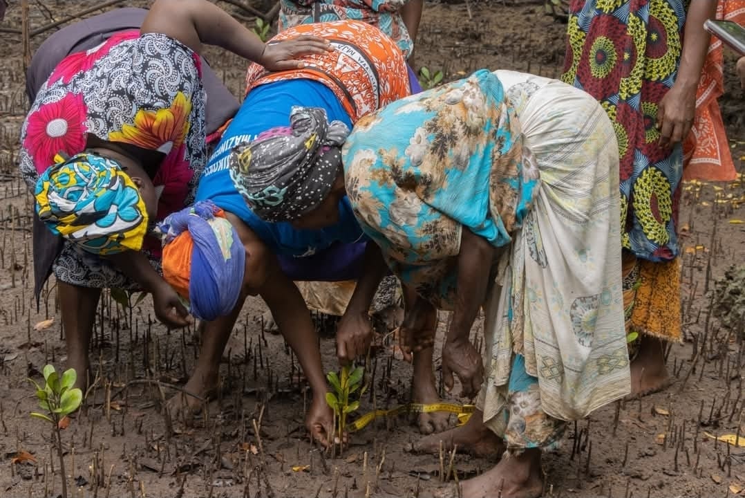 Coastal communities working together on environmental projects